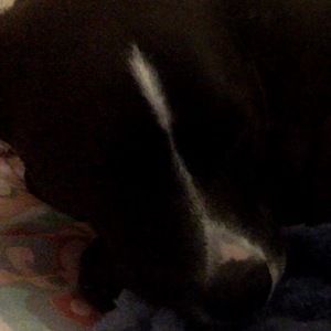 Meet your Posher, Bobbi